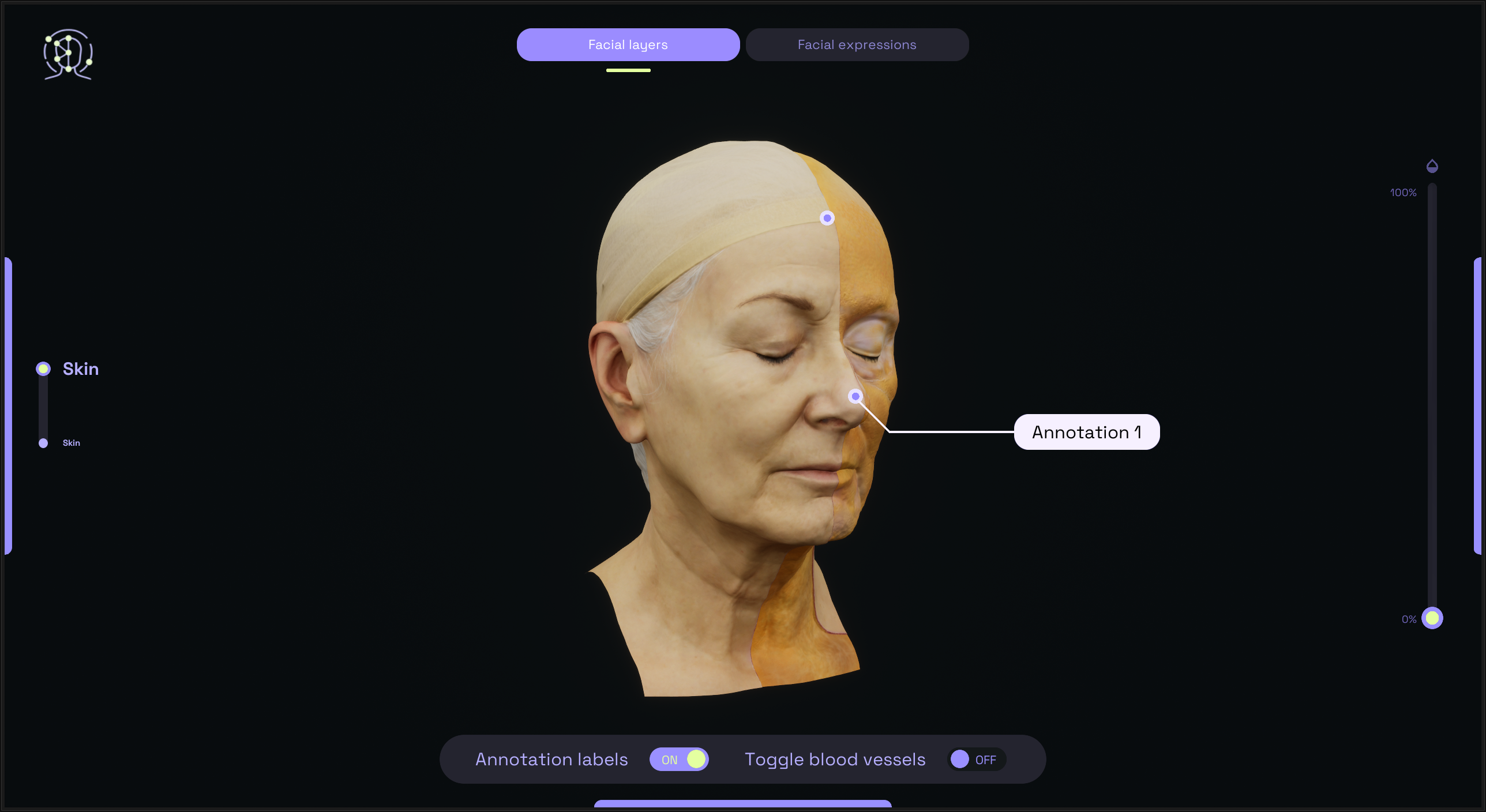 Interactive facial anatomy layer viewer with annotations and overlay controls