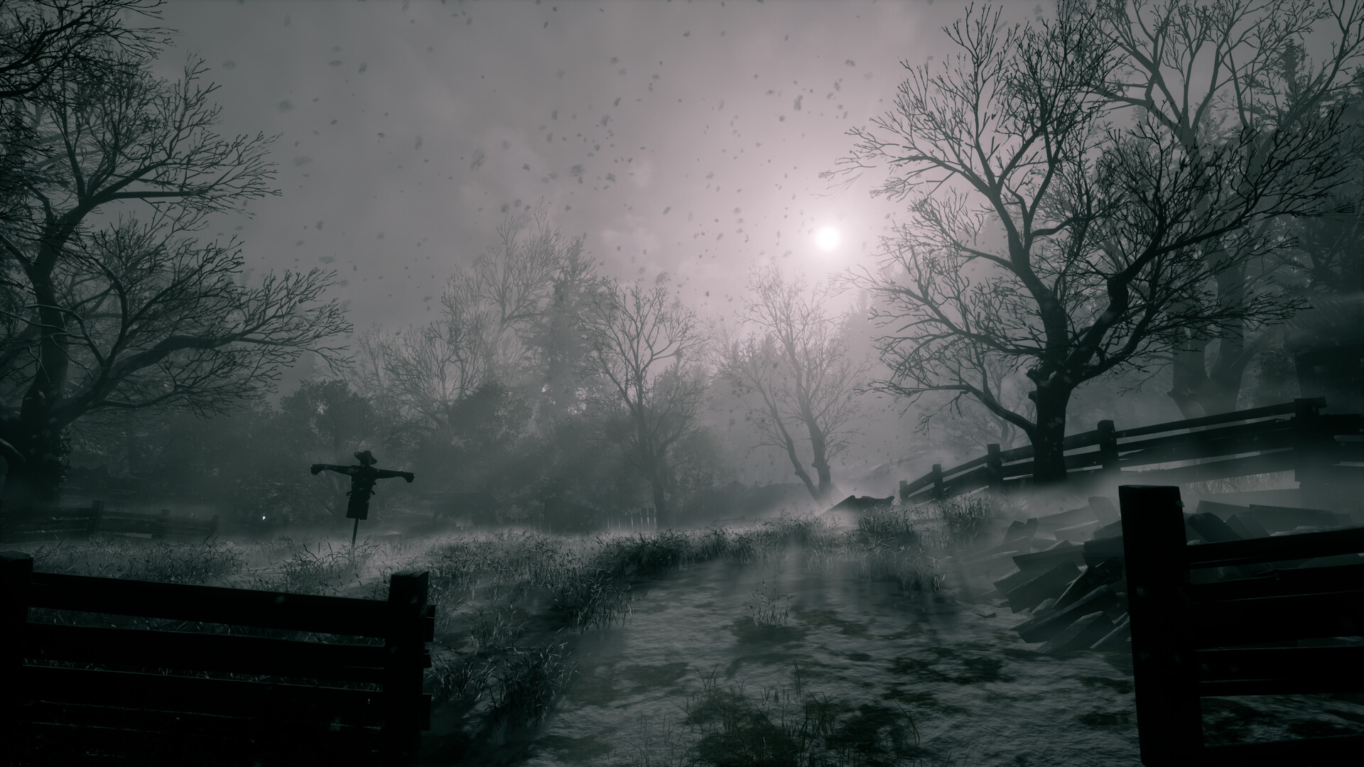 A foggy winter path in She’s Leaving